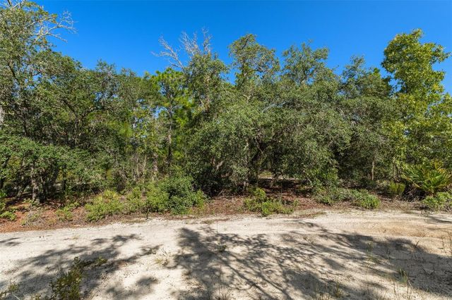 10806 N STATUE POINT, Dunnellon, FL 34433