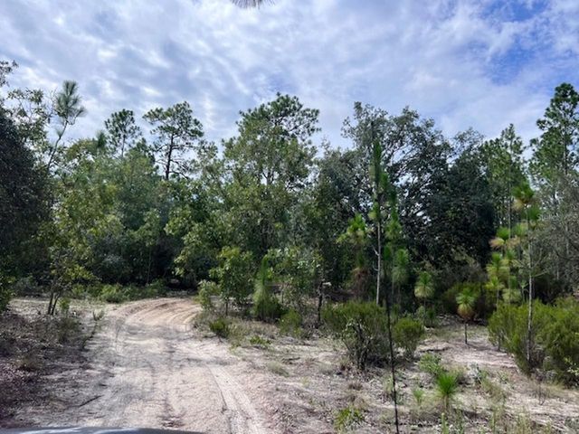 10806 N STATUE POINT, Dunnellon, FL 34433
