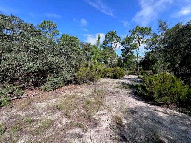 10806 N STATUE POINT, Dunnellon, FL 34433