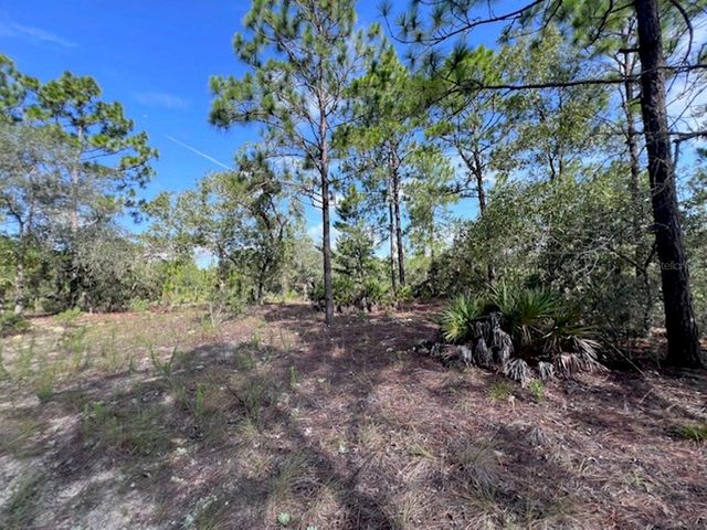 10806 N STATUE POINT, Dunnellon, FL 34433
