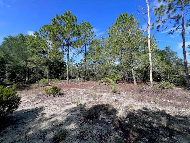 10806 N STATUE POINT, Dunnellon, FL 34433