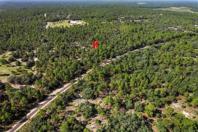 10806 N STATUE POINT, Dunnellon, FL 34433