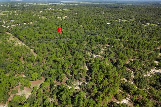 10806 N STATUE POINT, Dunnellon, FL 34433