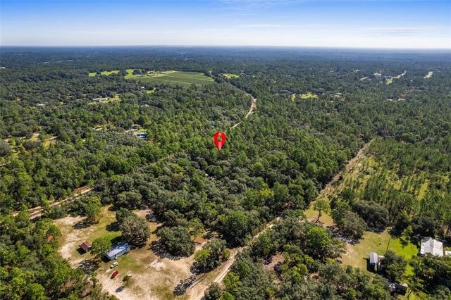 10806 N STATUE POINT, Dunnellon, FL 34433
