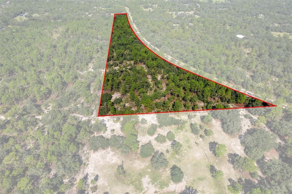 10806 N STATUE POINT, Dunnellon, FL 34433