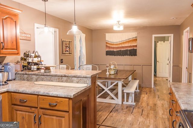 777 Williamstown Road, Mineral Bluff, GA 30559