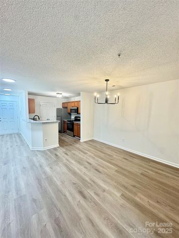 315 Flint Hill Road 202, Fort Mill, SC 29715