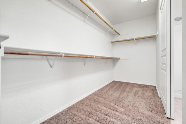8859 Shasta Lily Dr, Elk Grove, CA 95624