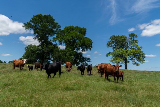 248 -Shaffer Road, Denison, TX 75021