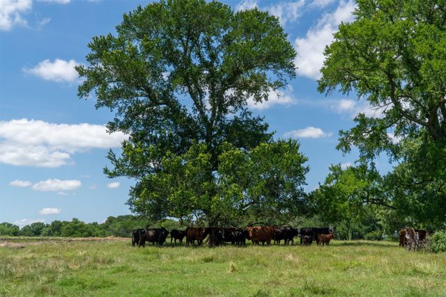 248 -Shaffer Road, Denison, TX 75021