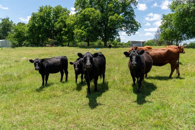 248 -Shaffer Road, Denison, TX 75021