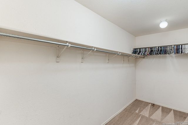 8503 Braun Path, San Antonio, TX 78254