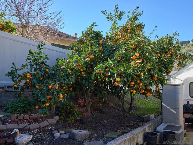 7949 Deerfield St, San Diego, CA 92120