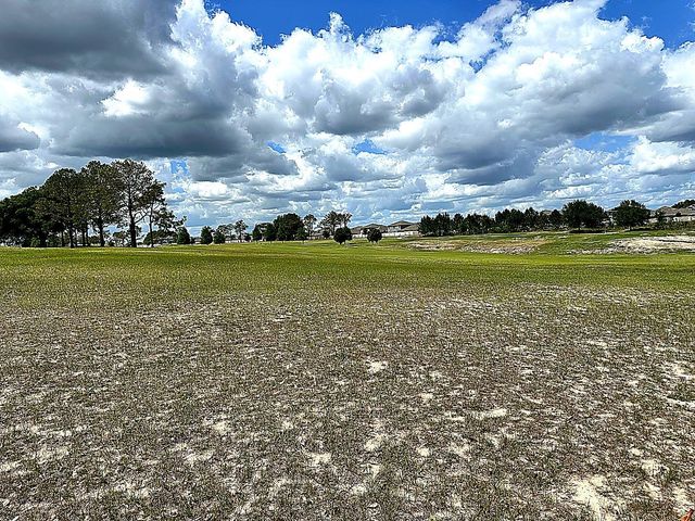3496 GREENBLUFF ROAD 1118, Zellwood, FL 32798
