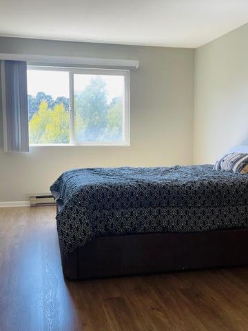 397 Imperial Way 329, Daly City, CA 94015