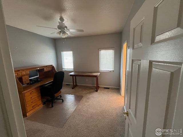 2145 Bluebell Ave, Greeley, CO 80631