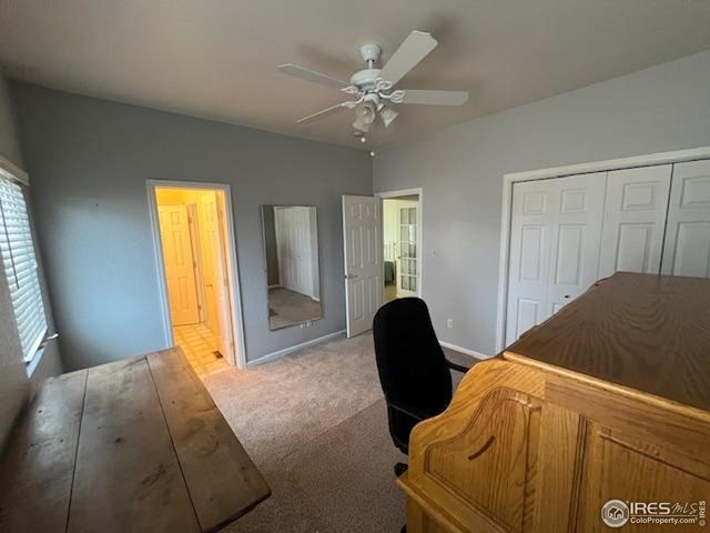 2145 Bluebell Ave, Greeley, CO 80631