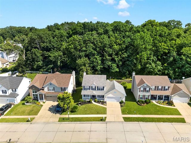 1211 Lake Canyon View, Fenton, MO 63026