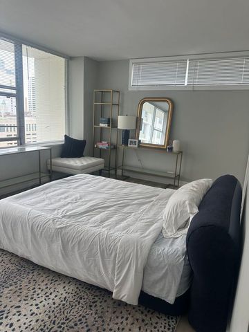 1000 N Lake Shore Drive 2301, Chicago, IL 60611