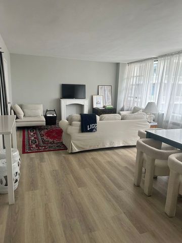 1000 N Lake Shore Drive 2301, Chicago, IL 60611
