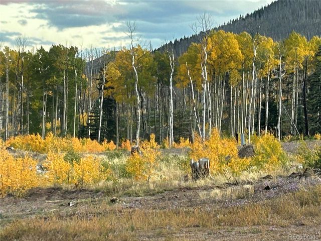 1944 Strauss Dr, Fort Garland, CO 81133