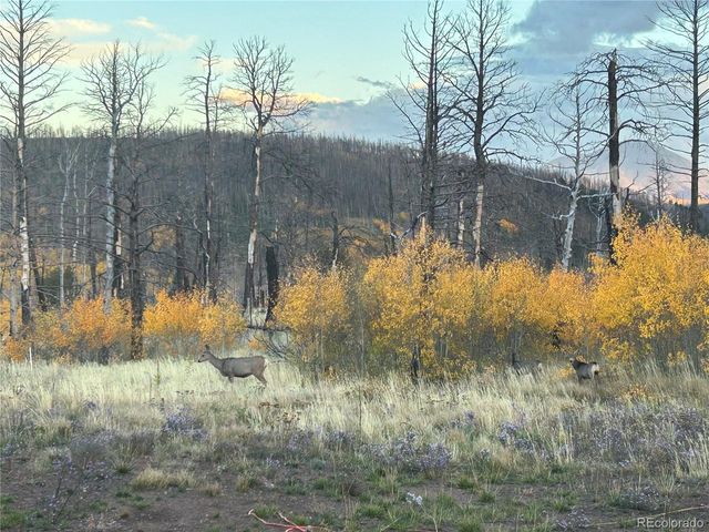 1944 Strauss Dr, Fort Garland, CO 81133