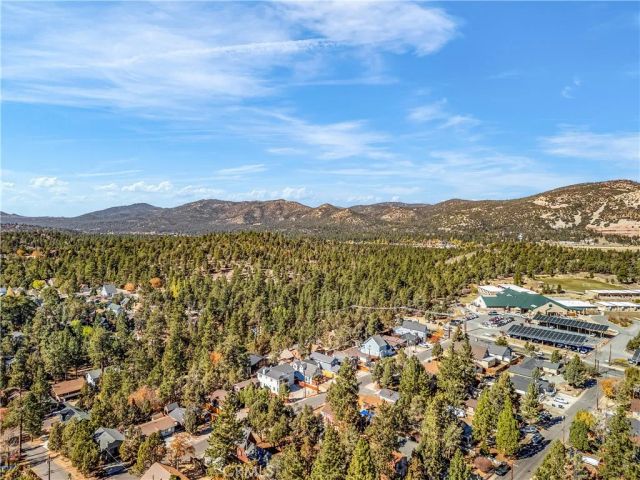 216 Leonard Lane, Big Bear, CA 92386