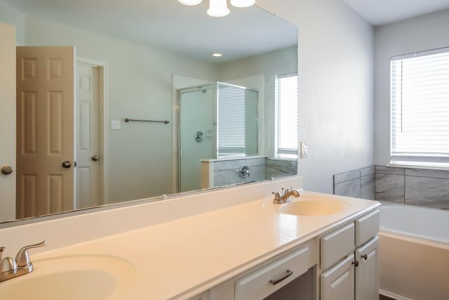 20327 Wild Berry Drive, Katy, TX 77449