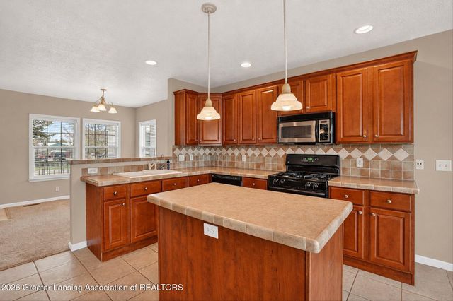 35 Lilac Lane, Mason, MI 48854