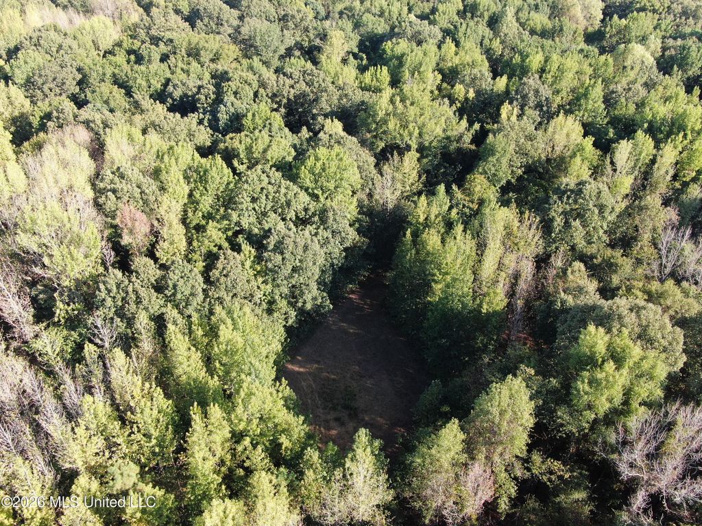 8 Star Landing Road, Nesbit, MS 38651 — photo 4