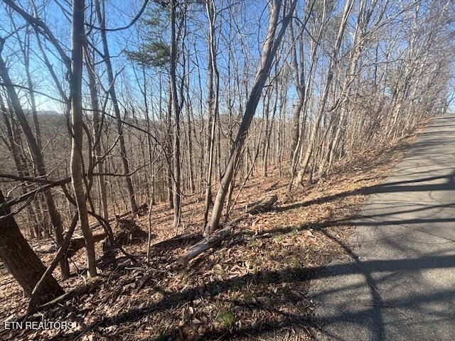 LOT 207 Laurel Mtn Road Rd, Madisonville, TN 37354