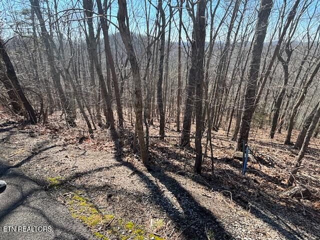 LOT 207 Laurel Mtn Road Rd, Madisonville, TN 37354