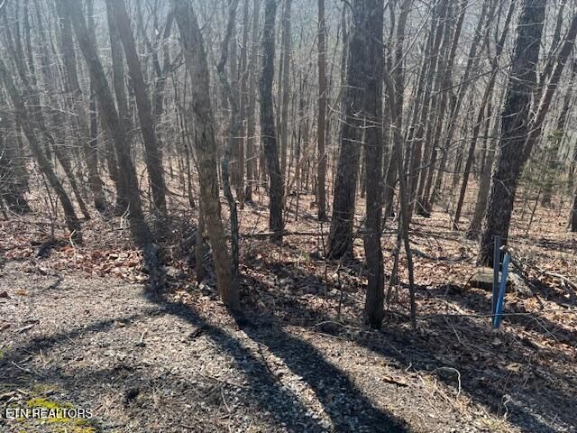 LOT 207 Laurel Mtn Road Rd, Madisonville, TN 37354