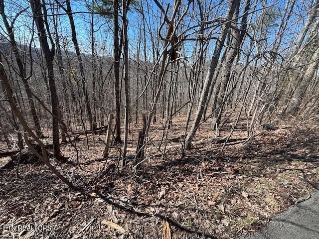 LOT 207 Laurel Mtn Road Rd, Madisonville, TN 37354
