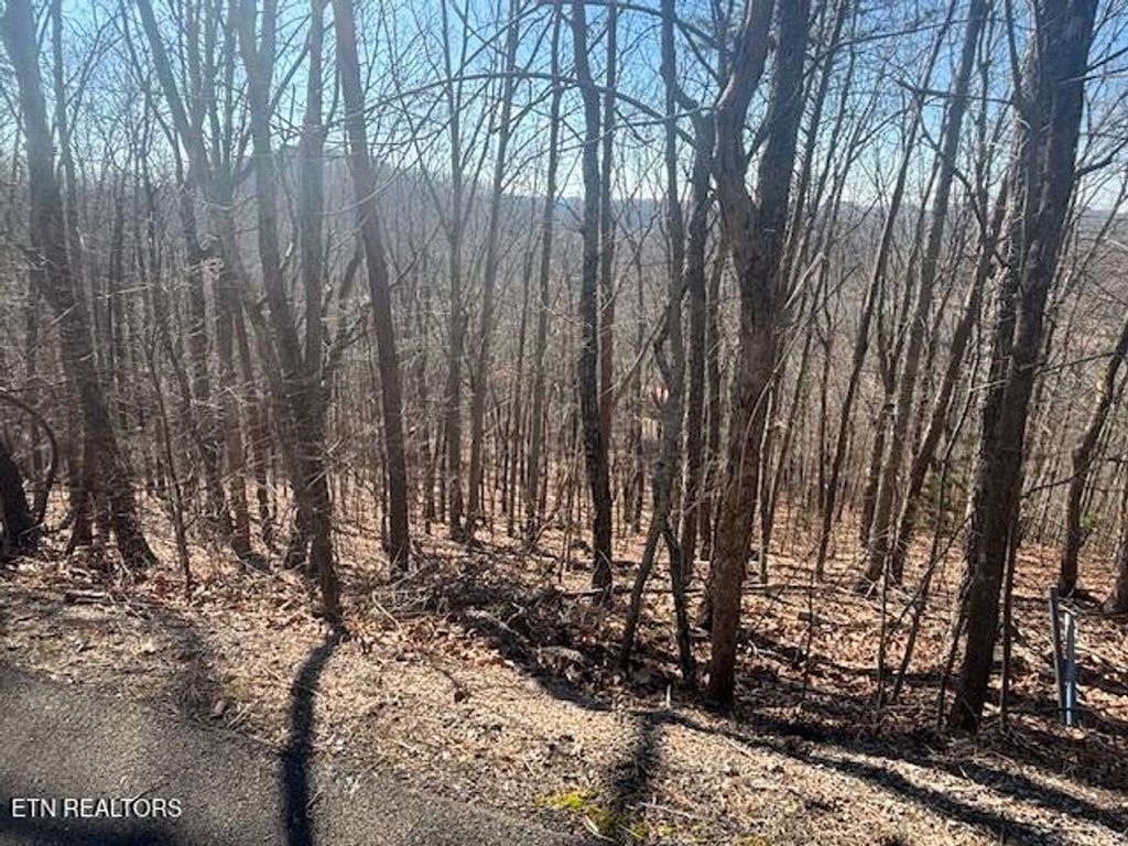 LOT 207 Laurel Mtn Road Rd, Madisonville, TN 37354