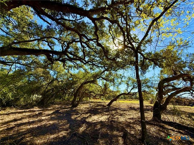 000 Sydnie Ranch Road, Inez, TX 77968