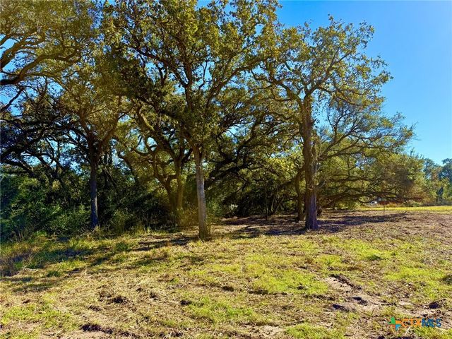 000 Sydnie Ranch Road, Inez, TX 77968