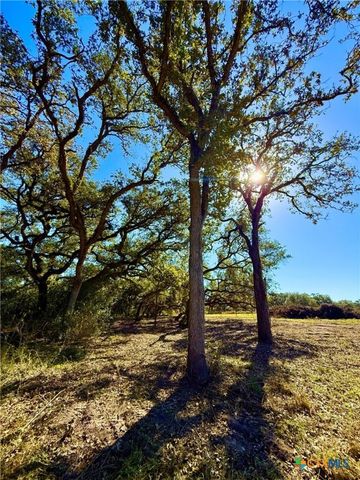 000 Sydnie Ranch Road, Inez, TX 77968