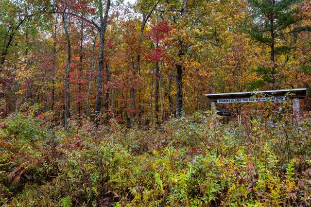 0 Roanoke Rd, Jamestown, TN 38556