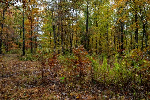 0 Roanoke Rd, Jamestown, TN 38556