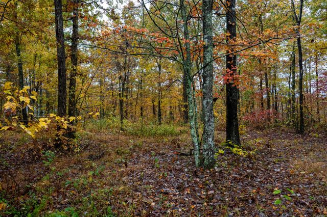 0 Roanoke Rd, Jamestown, TN 38556