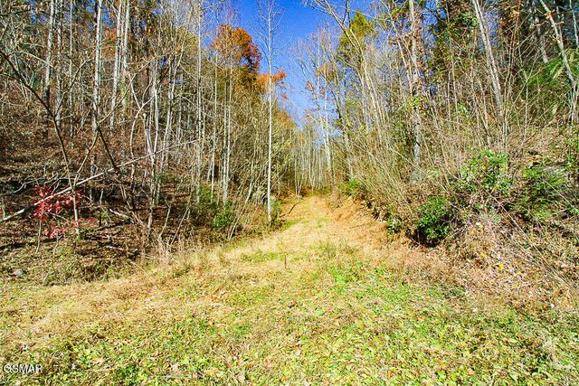 443 Huskey Grove Road, Sevierville, TN 37876