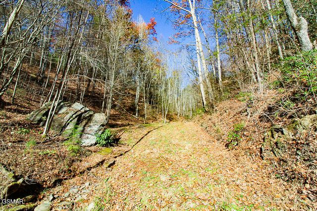 443 Huskey Grove Road, Sevierville, TN 37876