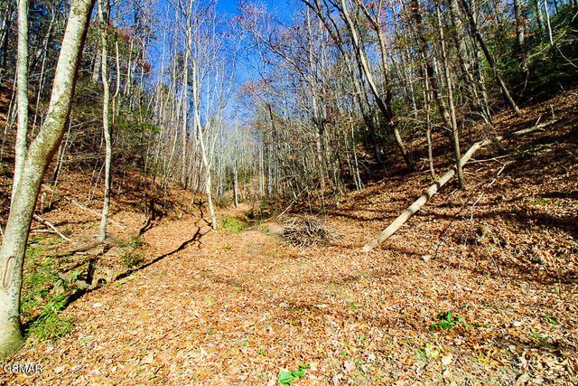 443 Huskey Grove Road, Sevierville, TN 37876