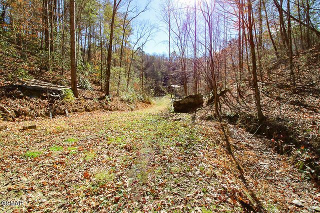 443 Huskey Grove Road, Sevierville, TN 37876