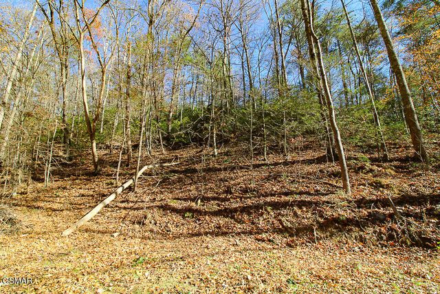 443 Huskey Grove Road, Sevierville, TN 37876