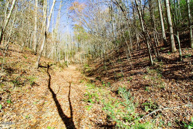 443 Huskey Grove Road, Sevierville, TN 37876