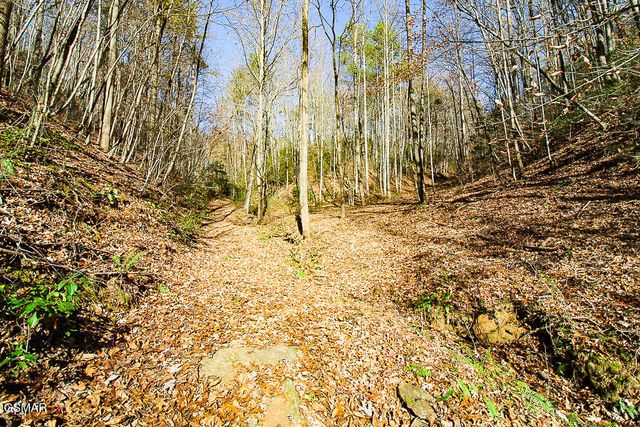 443 Huskey Grove Road, Sevierville, TN 37876