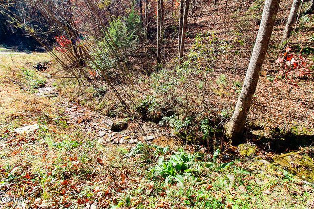 443 Huskey Grove Road, Sevierville, TN 37876