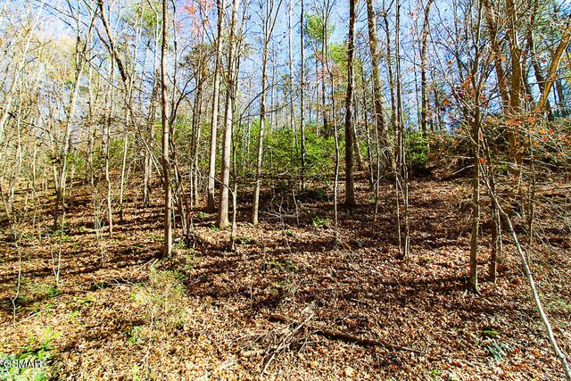 443 Huskey Grove Road, Sevierville, TN 37876